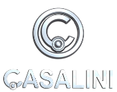 Casalini logo